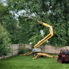 Best Aeration Services  in Sheffield, AL