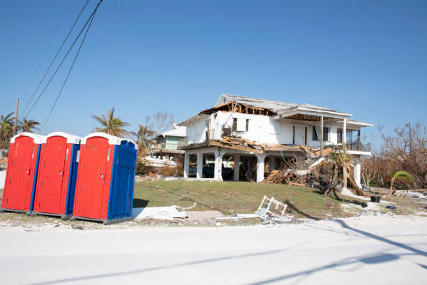  Sheffield, AL Tree Removal Pros